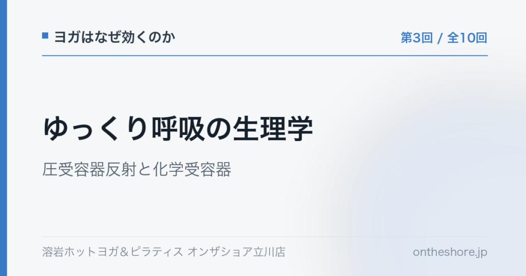ヨガはなぜ効くのか 第3回 ゆっくり呼吸の生理学圧受容器反射と化学受容器|オンザショア立川店 | オンザショア立川店 立川駅徒歩1分年中無休の溶岩ホットヨガスタジオ ヨガはなぜ効くのか 第3回 ゆっくり呼吸の生理学圧受容器反射と化学受容器|オンザショア立川店 立川駅徒歩1分年中無休の溶岩ホットヨガスタジオ