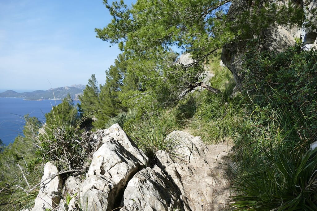 Hiking path on the peninsula La Victòria 01 | オンザショア立川店 立川駅徒歩1分年中無休の溶岩ホットヨガスタジオ マヨルカ島のラビクトリア半島にあるハイキング用の道を写した風景 立川駅徒歩1分年中無休の溶岩ホットヨガスタジオ
