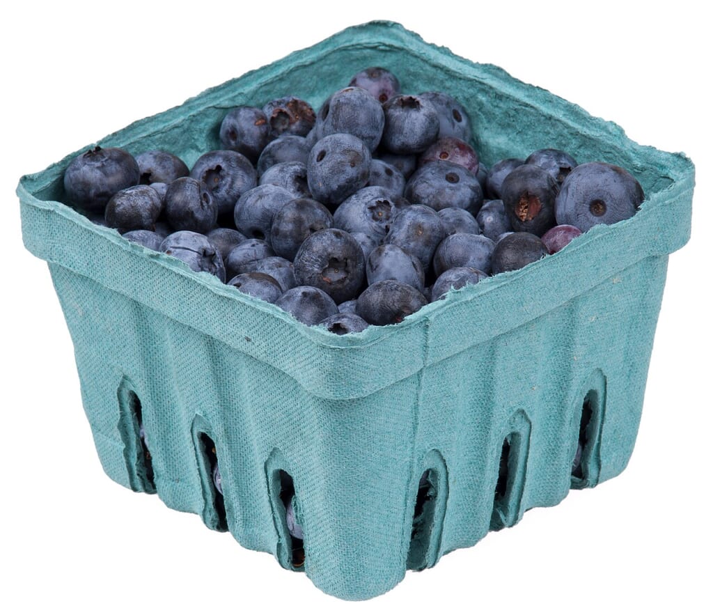 BlueberriesInPack | オンザショア立川店 立川駅徒歩1分年中無休の溶岩ホットヨガスタジオ 容器に入ったブルーベリーの実がまとまって写っている果実を主題にした写真 立川駅徒歩1分年中無休の溶岩ホットヨガスタジオ