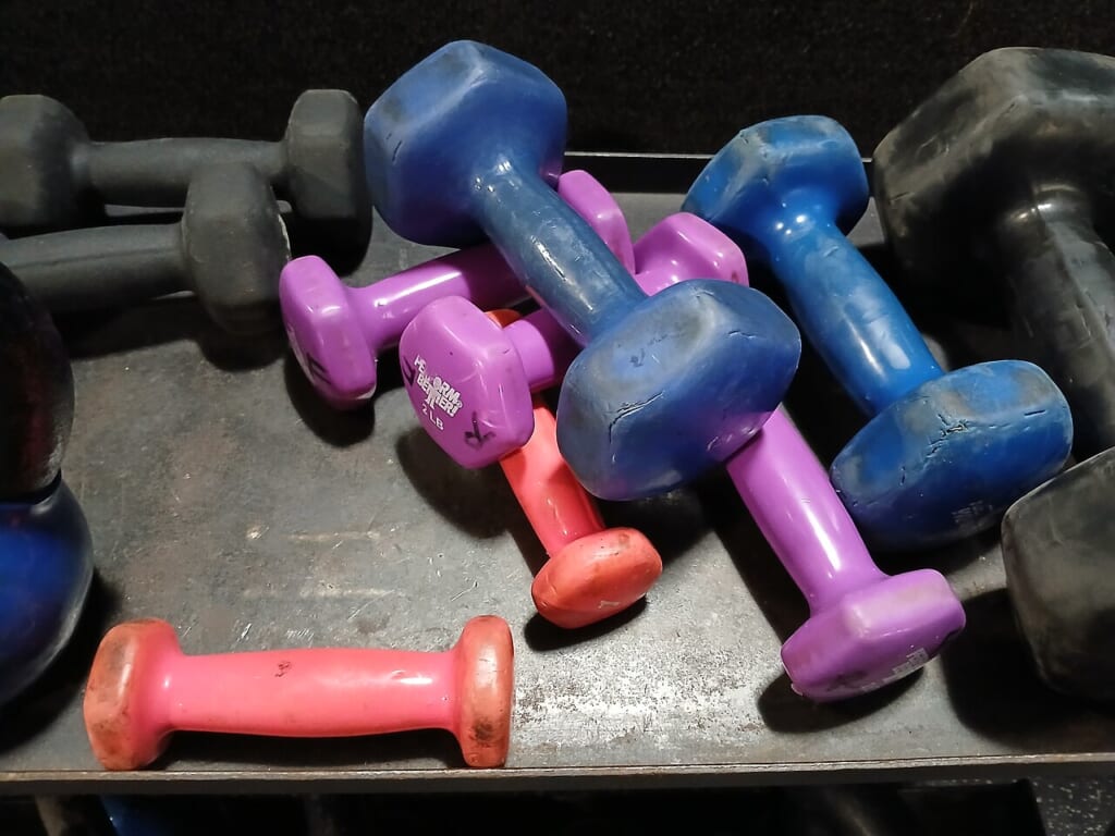 Colorful dumbbells of various sizes | オンザショア立川店 立川駅徒歩1分年中無休の溶岩ホットヨガスタジオ 色とりどりの大小のダンベルを写した筋力トレーニング用器具の写真 立川駅徒歩1分年中無休の溶岩ホットヨガスタジオ