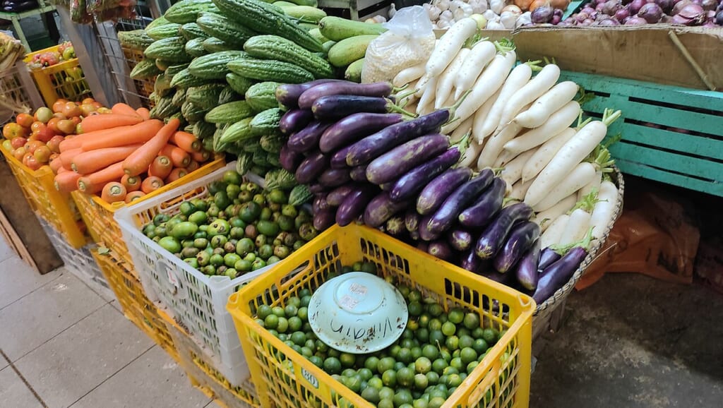 Fresh Vegetables display in Iloilo Terminal Public Market 01 | オンザショア立川店 立川駅徒歩1分年中無休の溶岩ホットヨガスタジオ 市場の売り場に並ぶナス大根ニンジンカラマンシーなどの生鮮野菜や果実 立川駅徒歩1分年中無休の溶岩ホットヨガスタジオ