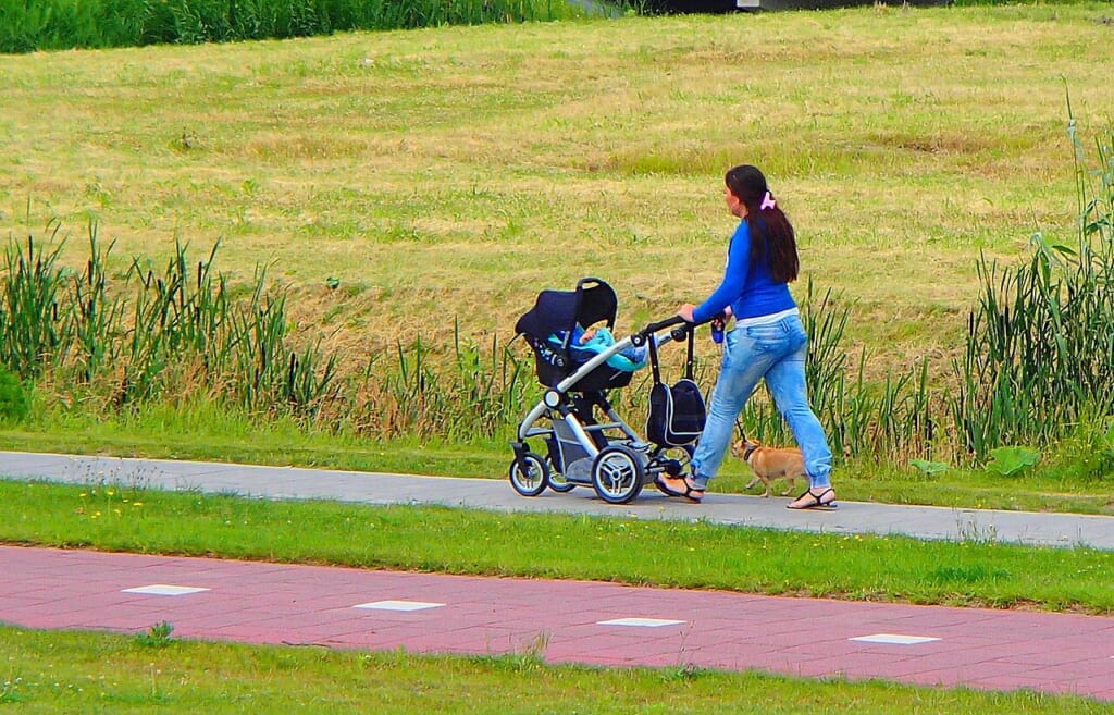 Walking female with stroller and dogs | オンザショア立川店 立川駅徒歩1分年中無休の溶岩ホットヨガスタジオ ベビーカーを押して歩く人とそのそばを一緒に歩いている犬たち 立川駅徒歩1分年中無休の溶岩ホットヨガスタジオ