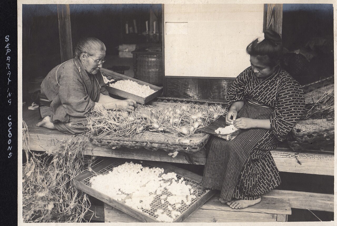 People sorting silkworm cocoons in Japan, photographed around 1914 to 1918 (not taken in Tachikawa)