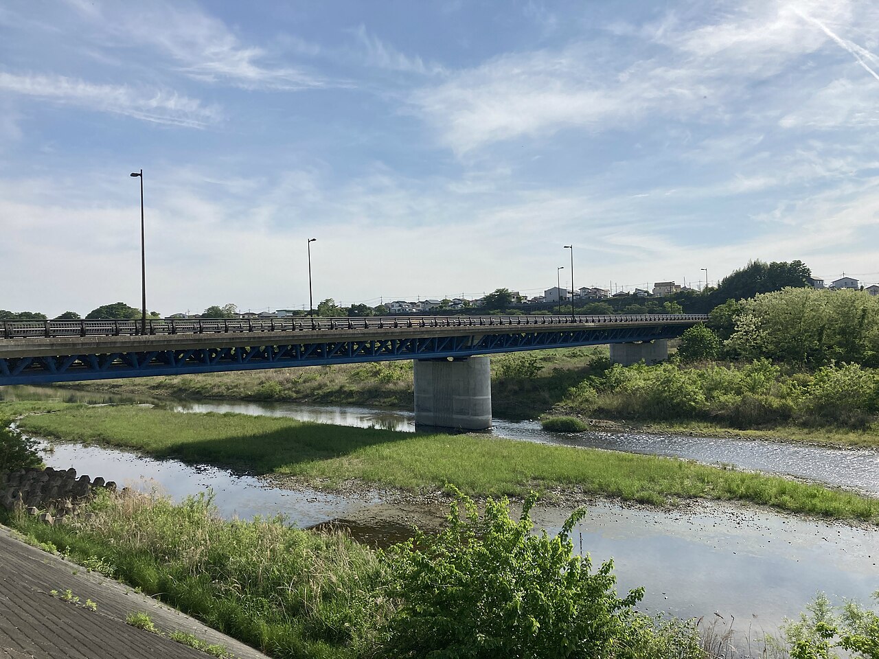 福生の多摩川に架かる永田橋。橋の手前に、草の茂る河原と浅い流れが広がる。