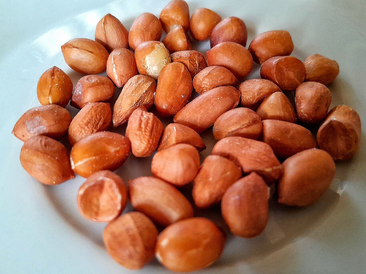 白い陶器の皿に盛られた、茶色い薄皮のついた生のピーナッツの粒。