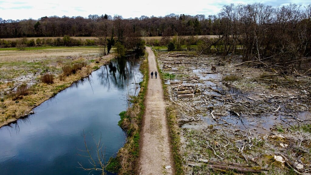 People walking between river and felled trees | オンザショア立川店 立川駅徒歩1分年中無休の溶岩ホットヨガスタジオ 伐採された木々のある林と水路の間を二人の人が歩いている屋外の風景 立川駅徒歩1分年中無休の溶岩ホットヨガスタジオ