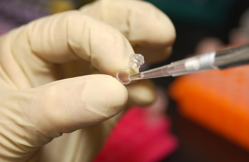 NHGRI researcher uses a pipette to remove DNA from a micro test tube | オンザショア立川店 立川駅徒歩1分年中無休の溶岩ホットヨガスタジオ 研究室でピペットを使いマイクロチューブからDNAを取り出す研究者 立川駅徒歩1分年中無休の溶岩ホットヨガスタジオ