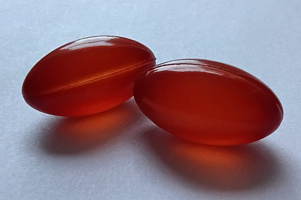 Algae omega3 270mg capsules vegan | オンザショア立川店 立川駅徒歩1分年中無休の溶岩ホットヨガスタジオ 藻類由来のオメガ3を含むサプリメントのカプセルを写した横長の写真 立川駅徒歩1分年中無休の溶岩ホットヨガスタジオ