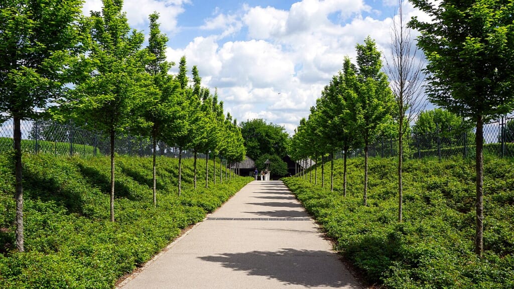 Niepołomickie Błonia Park walking path Niepołomice Poland | オンザショア立川店 立川駅徒歩1分年中無休の溶岩ホットヨガスタジオ ポーランドのニエポウォミツェにあるブウォニャ公園の散歩用の歩道 立川駅徒歩1分年中無休の溶岩ホットヨガスタジオ