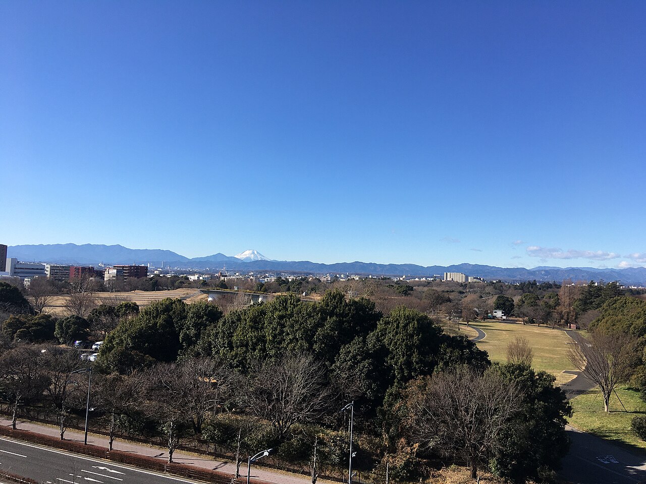 A view towards Mount Fuji from Showa Kinen Park, photographed on New Year's Day 2021.