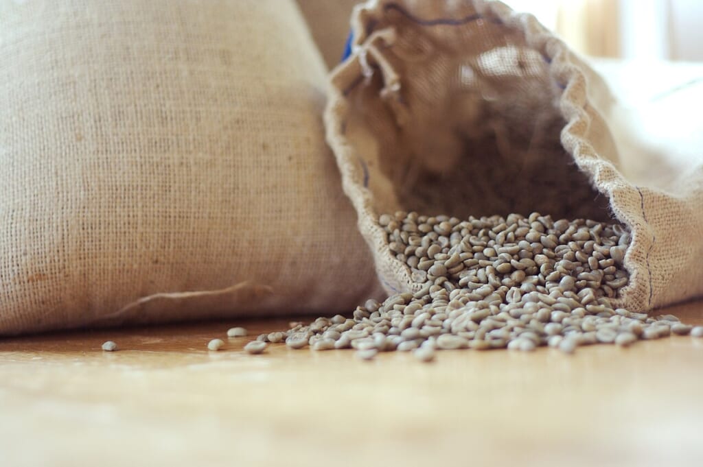 Green Bean Coffee | オンザショア立川店 立川駅徒歩1分年中無休の溶岩ホットヨガスタジオ 焙煎する前のコーヒー豆グリーンコーヒーと呼ばれる生の豆の様子 立川駅徒歩1分年中無休の溶岩ホットヨガスタジオ