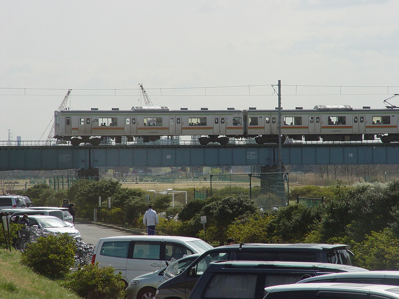 A train crossing the JR Hachiko Line bridge over the Tama River; the fossil was found on the bank downstream.