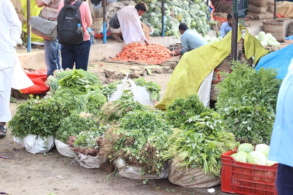 LeafyVegetables | オンザショア立川店 立川駅徒歩1分年中無休の溶岩ホットヨガスタジオ 葉物野菜を写した写真野菜の葉や茎の形緑色の色合いが見られる 立川駅徒歩1分年中無休の溶岩ホットヨガスタジオ
