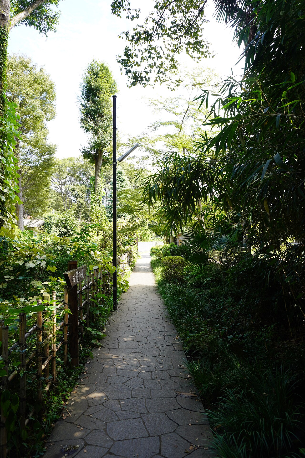 Otaka-no-Michi in Kokubunji, a path running along a spring-fed stream at the foot of the cliff.