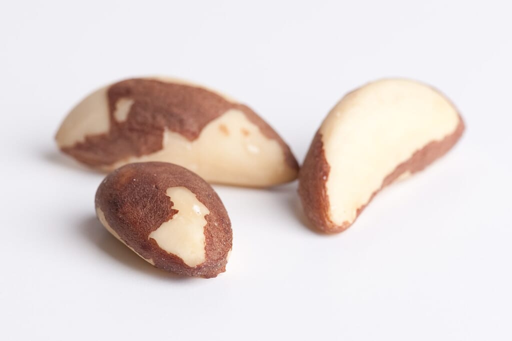 Bertholletia excelsa seeds closeup | オンザショア立川店 立川駅徒歩1分年中無休の溶岩ホットヨガスタジオ ブラジルナッツの種子を近くから撮影し一粒ずつの形や表面の様子を写した写真 立川駅徒歩1分年中無休の溶岩ホットヨガスタジオ