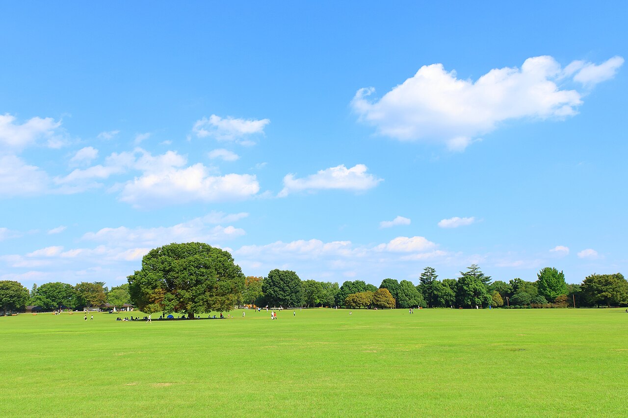 The Minna no Harappa meadow in Showa Kinen Park, a lawn spread over the former airfield site.