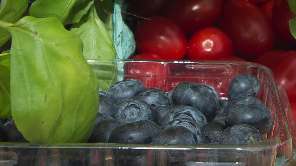 20160701AMSLSC9000Blueberry Caprese Salad 28183512232 | オンザショア立川店 立川駅徒歩1分年中無休の溶岩ホットヨガスタジオ ブルーベリートマトモッツァレラチーズとバジルを組み合わせたサラダ 立川駅徒歩1分年中無休の溶岩ホットヨガスタジオ