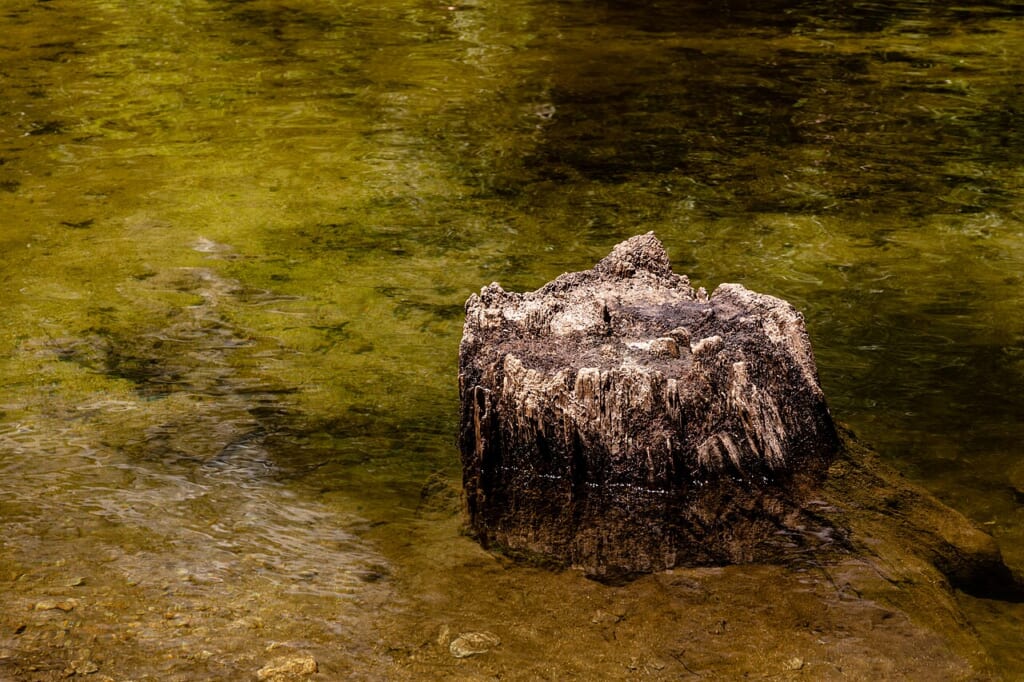 Yosemite National Park CA USA Yosemite Valley Mirror Lake 2022 2805 | オンザショア立川店 立川駅徒歩1分年中無休の溶岩ホットヨガスタジオ 周りの山と木を水面に映す湖 立川駅徒歩1分年中無休の溶岩ホットヨガスタジオ