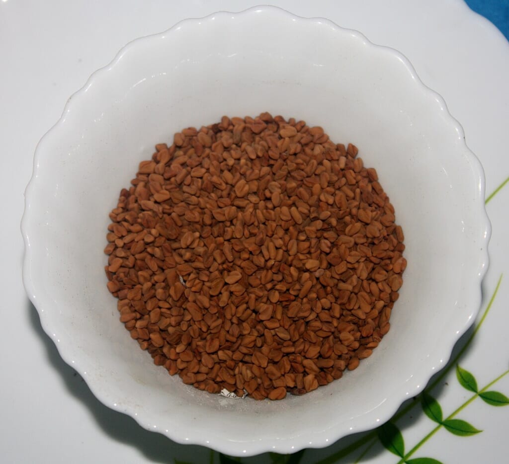 Fenugreek seedsমেথি | オンザショア立川店 立川駅徒歩1分年中無休の溶岩ホットヨガスタジオ フェヌグリークコロハの種を粒の形が分かるように写した写真 立川駅徒歩1分年中無休の溶岩ホットヨガスタジオ