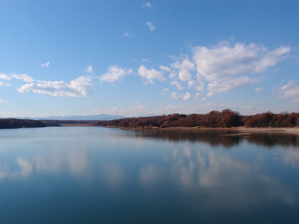 Lake Tama Toritsu Sayama Natural Park 11339861825 | オンザショア立川店 立川駅徒歩1分年中無休の溶岩ホットヨガスタジオ 多摩湖村山貯水池の水面東村山浄水場の水源のひとつで岸の林と青空が映っている 立川駅徒歩1分年中無休の溶岩ホットヨガスタジオ