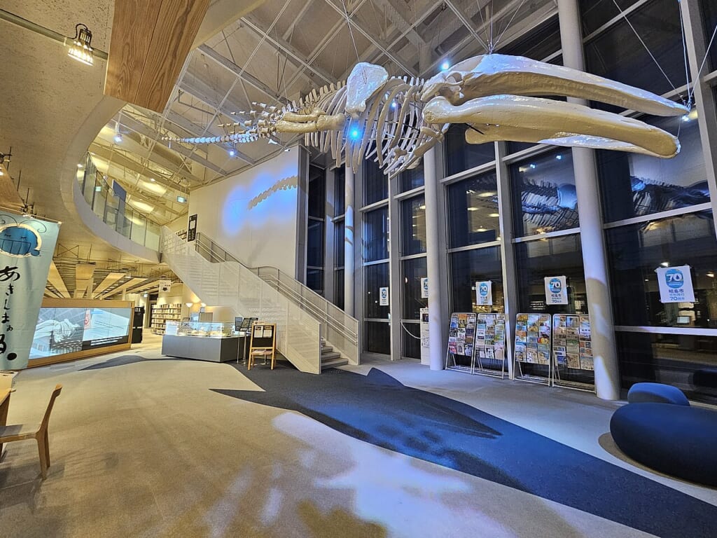 Eschrichtius akishimaensis アキシマクジラのレプリカを展示するアキシマエンシス国際交流棟 | オンザショア立川店 立川駅徒歩1分年中無休の溶岩ホットヨガスタジオ 昭島市のアキシマエンシスの吹き抜けに吊られたアキシマクジラの全身骨格レプリカ 立川駅徒歩1分年中無休の溶岩ホットヨガスタジオ