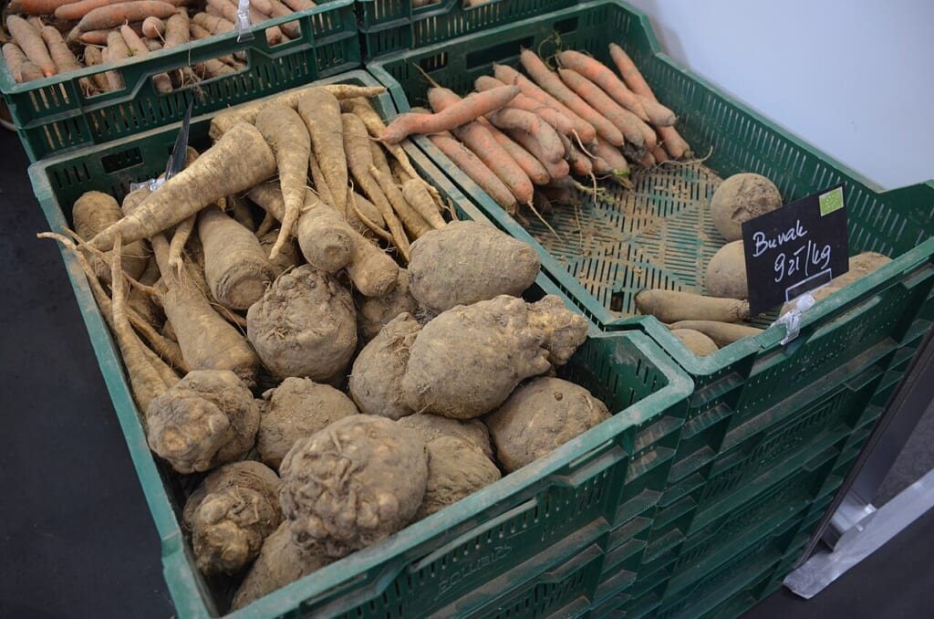 02024 1709 Vegetables of Silesia | オンザショア立川店 立川駅徒歩1分年中無休の溶岩ホットヨガスタジオ ポーランドの野菜を写した横長の写真野菜の形や表面の様子が見える 立川駅徒歩1分年中無休の溶岩ホットヨガスタジオ