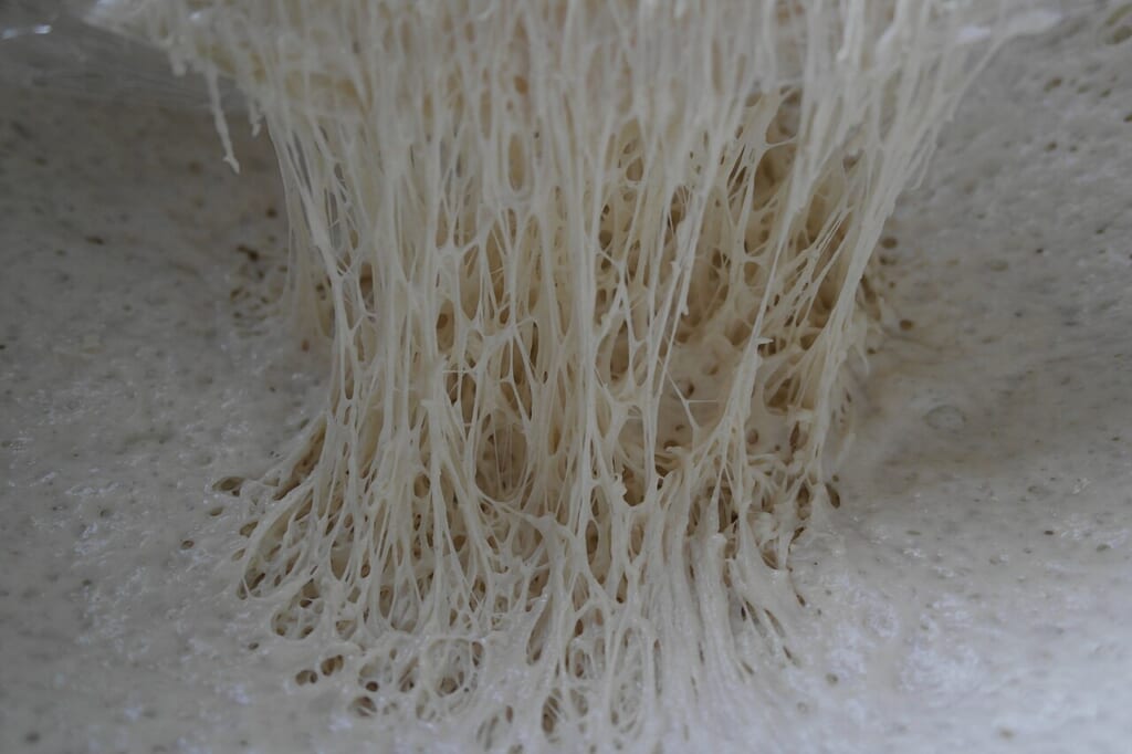 発酵して膨らんだパン生地にグルテンの筋が広がっている様子を写した写真 立川駅徒歩1分年中無休の溶岩ホットヨガスタジオ