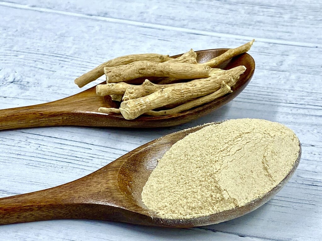 Ashwagandha Powder and Root on Spoons 50191697031 | オンザショア立川店 立川駅徒歩1分年中無休の溶岩ホットヨガスタジオ スプーンに載せて並べられたアシュワガンダの粉末と根を写した写真 立川駅徒歩1分年中無休の溶岩ホットヨガスタジオ