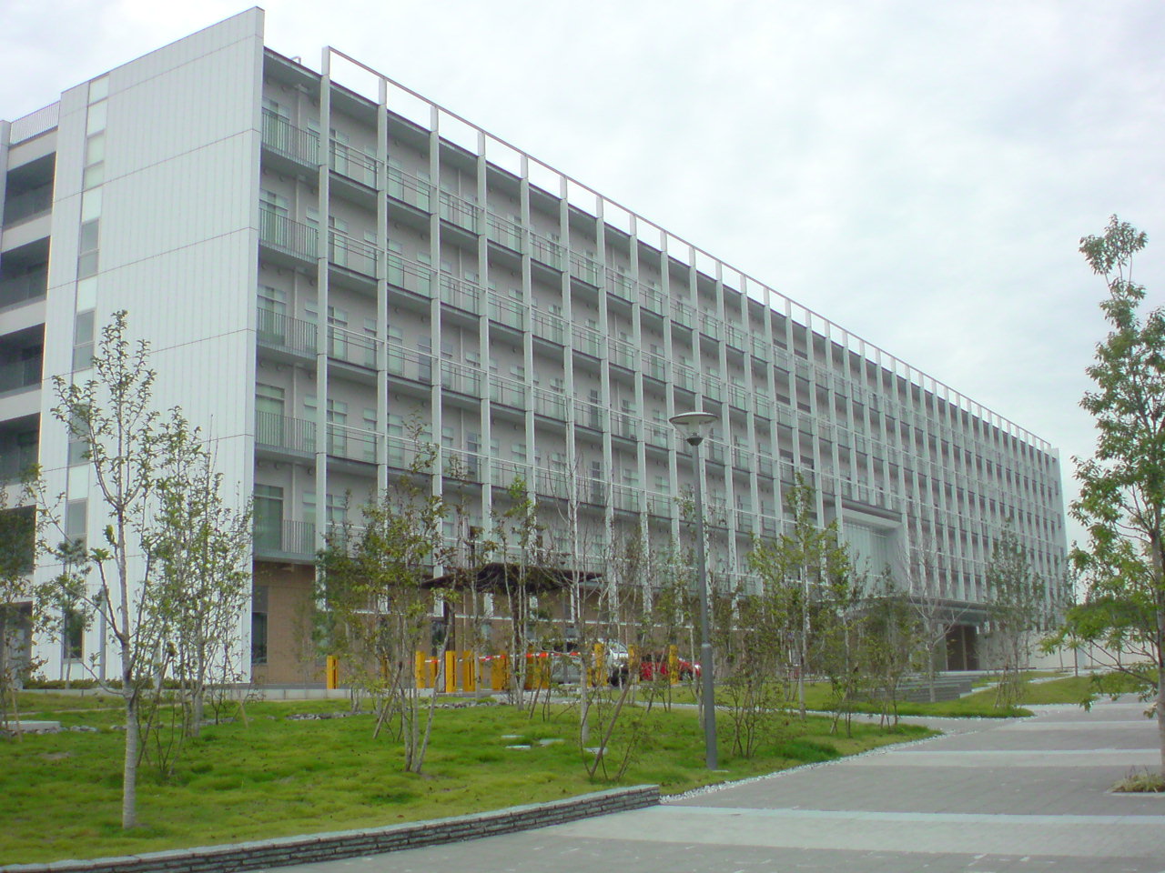 立川市緑町の国文学研究資料館。白い外壁の大きな建物の前に、若い並木が続く。