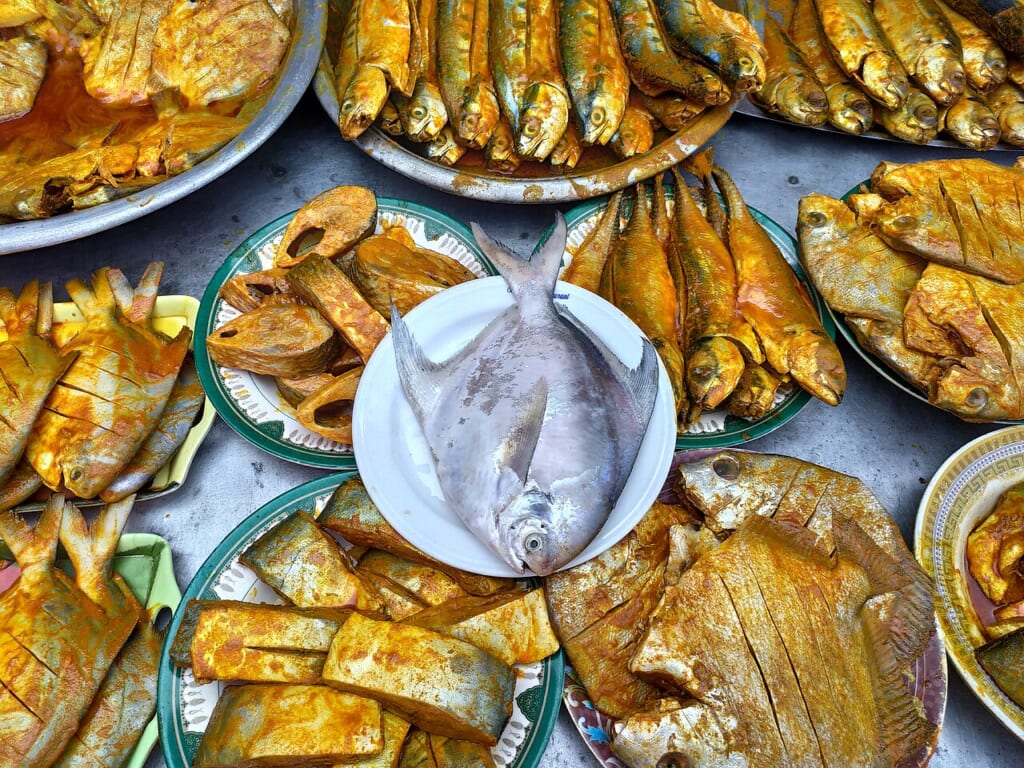 飲食店の前に並べられているさまざまな種類の海の魚を写した写真 立川駅徒歩1分年中無休の溶岩ホットヨガスタジオ