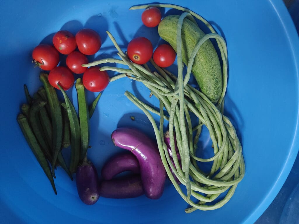 Fresh Vegetables 2 | オンザショア立川店 立川駅徒歩1分年中無休の溶岩ホットヨガスタジオ 食材として使われる新鮮な野菜を写した写真野菜そのものの姿が見える 立川駅徒歩1分年中無休の溶岩ホットヨガスタジオ