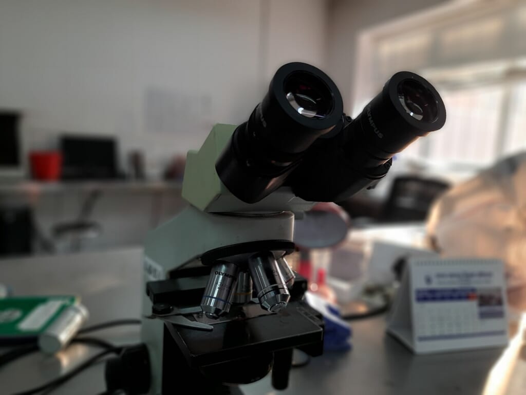 Compound Microscope Image | オンザショア立川店 立川駅徒歩1分年中無休の溶岩ホットヨガスタジオ 微生物など肉眼では見えないものを拡大して観察するための複式顕微鏡 立川駅徒歩1分年中無休の溶岩ホットヨガスタジオ