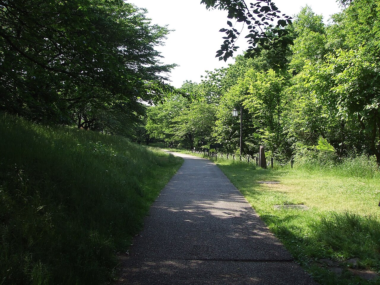 The Nekawa green path: a single walkway between trees, running straight ahead into the distance.