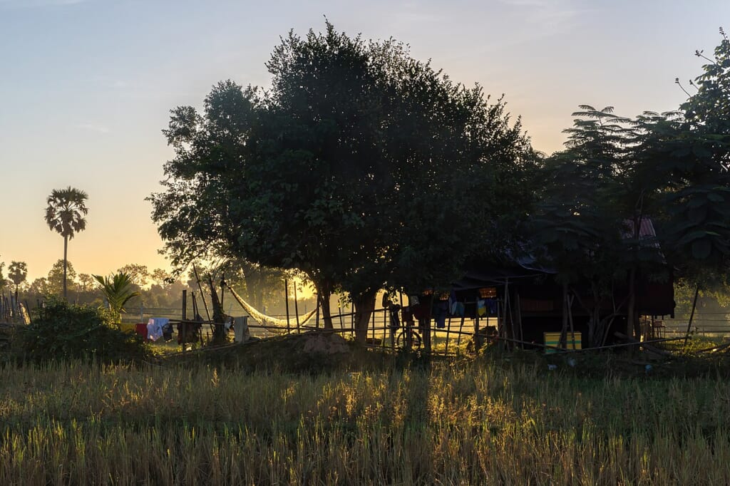 Contrejour photograph of a wooden hut behind a tree with a hammock at sunrise in Si Phan Don Laos | オンザショア立川店 立川駅徒歩1分年中無休の溶岩ホットヨガスタジオ 朝日の逆光の中田んぼに立つ木とハンモックその奥に見える木造の小屋 立川駅徒歩1分年中無休の溶岩ホットヨガスタジオ