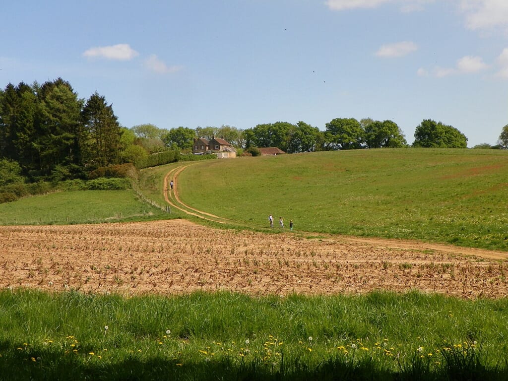 Family walking through the fields geographorguk 6455012 | オンザショア立川店 立川駅徒歩1分年中無休の溶岩ホットヨガスタジオ 野原を家族が一緒に歩いている様子を周囲の風景とともに写した写真 立川駅徒歩1分年中無休の溶岩ホットヨガスタジオ