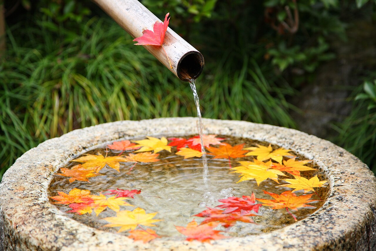昭和記念公園で撮られた、紅葉したカエデの葉が浮かぶ石の水鉢と竹の筧
