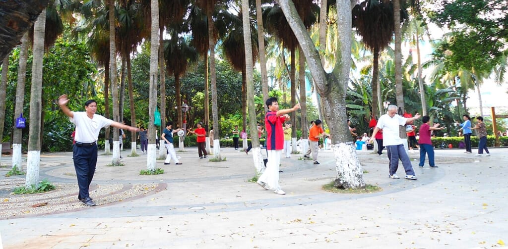 中国海口の人民公園で太極拳の練習に取り組んでいる人々の様子 立川駅徒歩1分年中無休の溶岩ホットヨガスタジオ