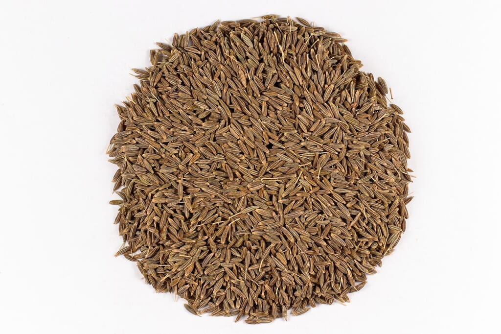 Seeds of Cumin | オンザショア立川店 立川駅徒歩1分年中無休の溶岩ホットヨガスタジオ 香辛料として使われるクミンCuminum cyminumの種子を写した写真 立川駅徒歩1分年中無休の溶岩ホットヨガスタジオ