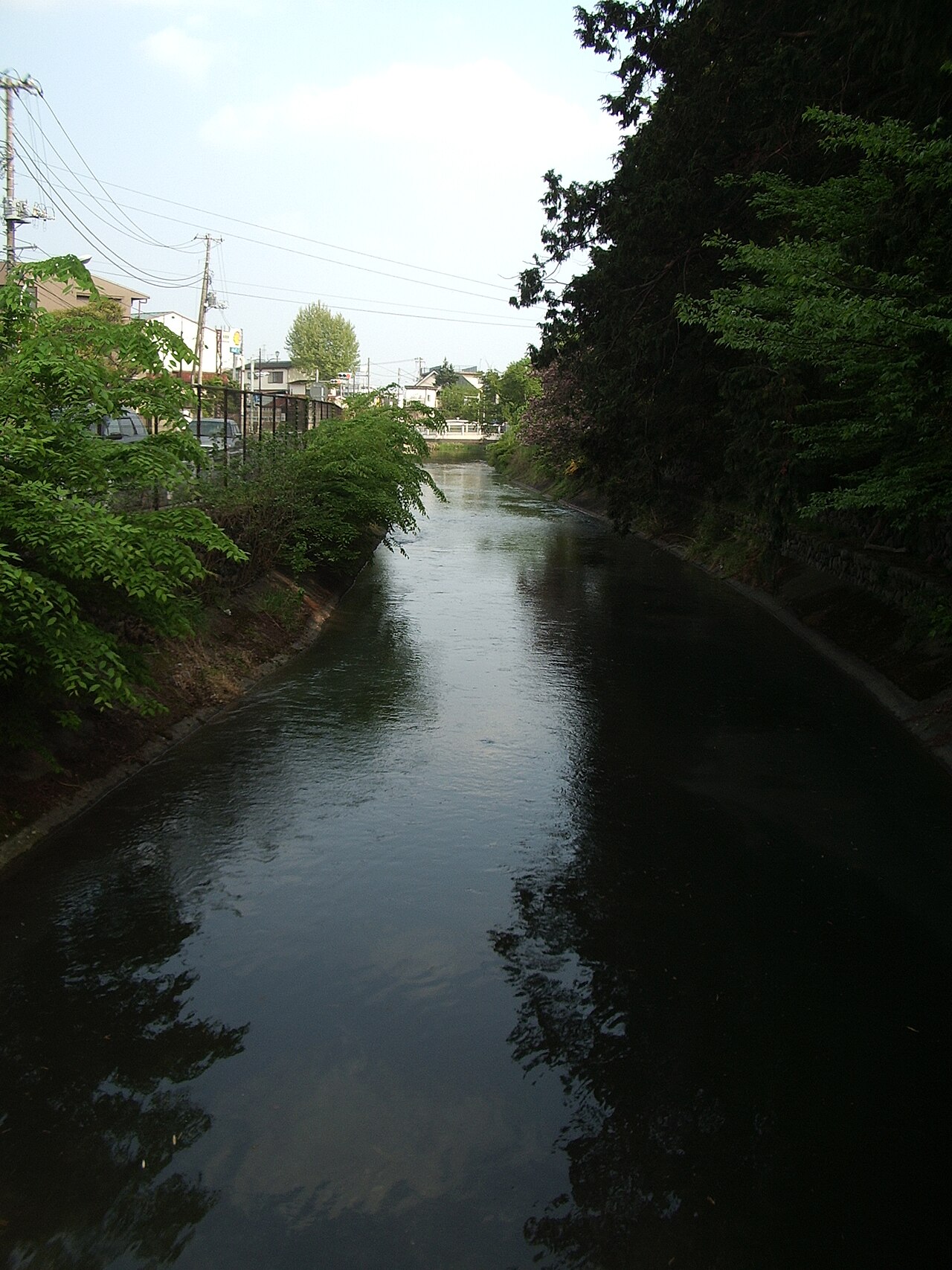 The Tamagawa Aqueduct flowing through Fussa, green trees on both banks reflected in still water.