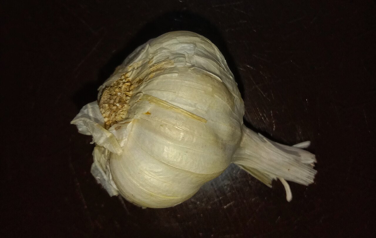 丸ごとのにんにくと、そこから分かれたひとかけのにんにくを写した写真。