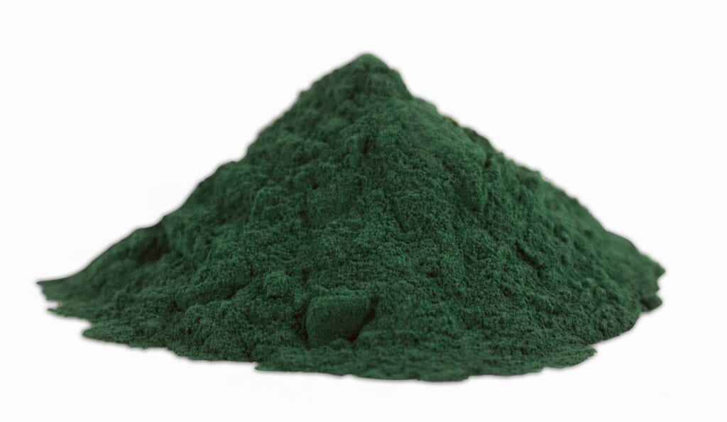 Spirulina powdder close | オンザショア立川店 立川駅徒歩1分年中無休の溶岩ホットヨガスタジオ 粉末状のスピルリナを近距離から撮影し粉の細かな質感を写した写真 立川駅徒歩1分年中無休の溶岩ホットヨガスタジオ