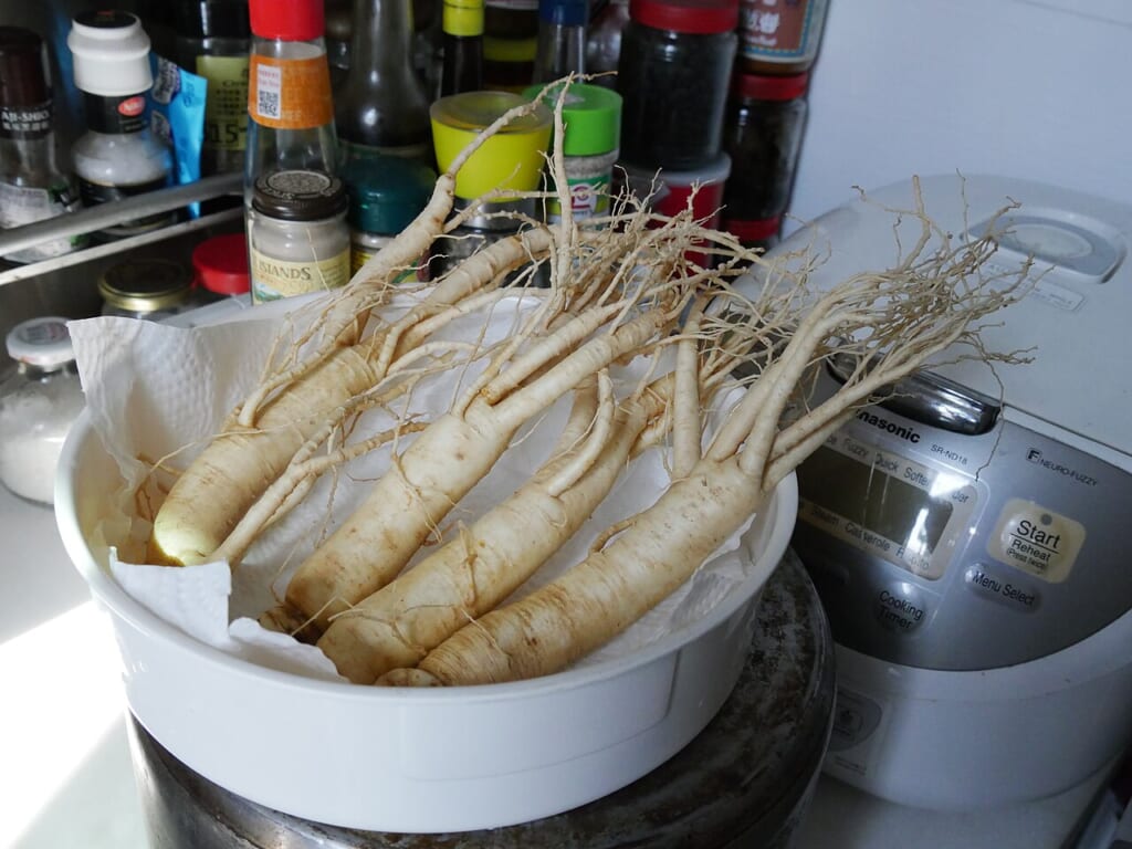 Panax ginseng in Kitchen | オンザショア立川店 立川駅徒歩1分年中無休の溶岩ホットヨガスタジオ 高麗人参朝鮮人参の根食材として扱われる人参の根を写した写真 立川駅徒歩1分年中無休の溶岩ホットヨガスタジオ