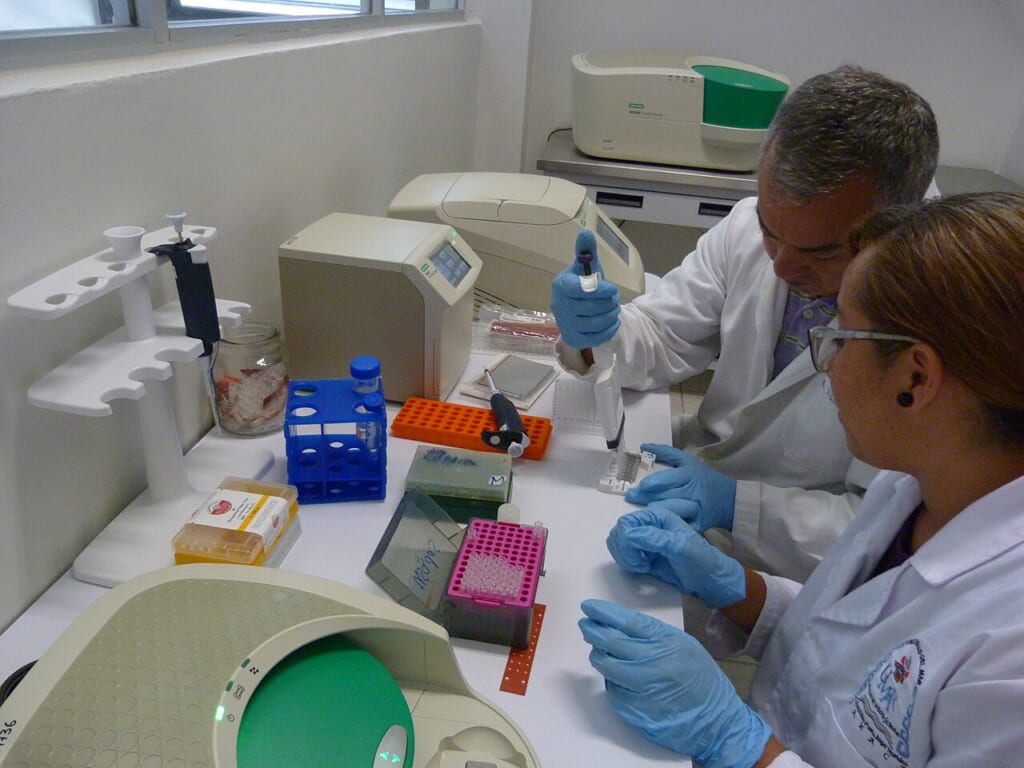 Genetics Laboratory UMAR Puerto Escondido | オンザショア立川店 立川駅徒歩1分年中無休の溶岩ホットヨガスタジオ 遺伝学の研究室で白衣と手袋を着けた2人がピペットや試料の容器を並べた実験台で作業している 立川駅徒歩1分年中無休の溶岩ホットヨガスタジオ