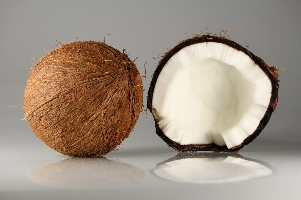 Coconuts single and cracked open | オンザショア立川店 立川駅徒歩1分年中無休の溶岩ホットヨガスタジオ 殻に包まれた丸ごとのココナッツと割れて内側の白い果肉が見えるココナッツ 立川駅徒歩1分年中無休の溶岩ホットヨガスタジオ